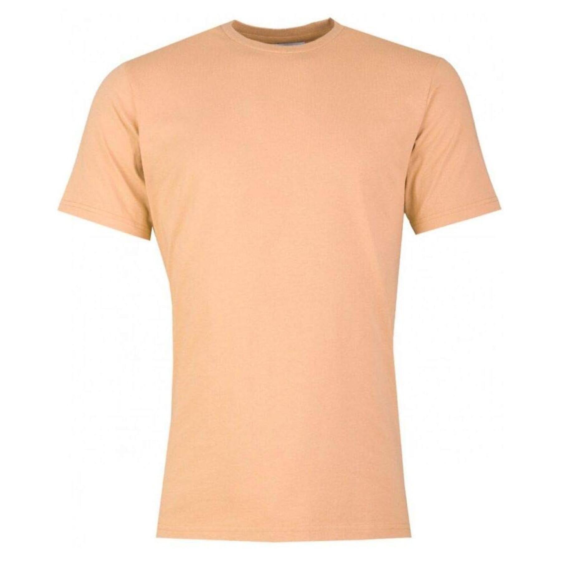 Camiseta Colorful Standard Paradise Peach
