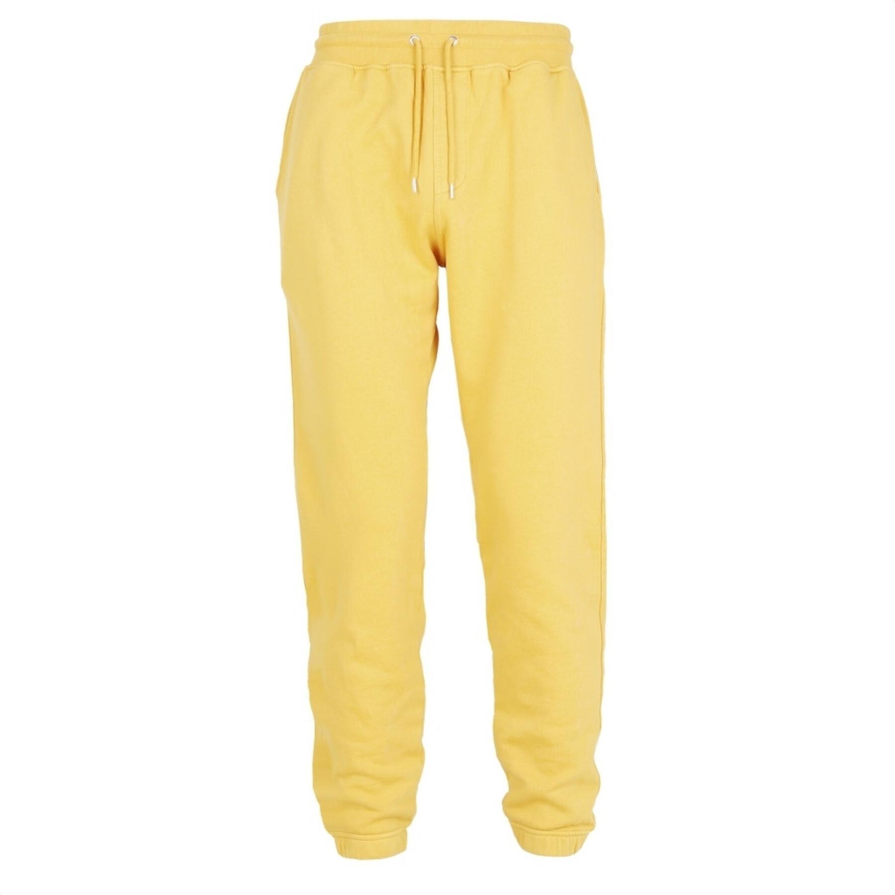 Pantalón de jogging Colorful Standard amarillo limón