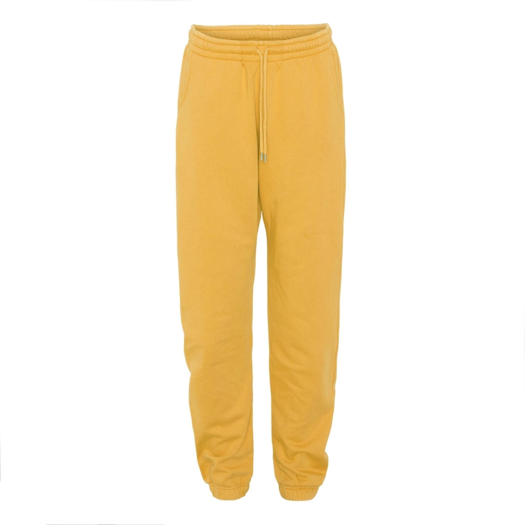 Pantalón de jogging Colorful Standard amarillo tostado