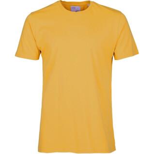 Camiseta Colorful Standard Classic Organic burned yellow