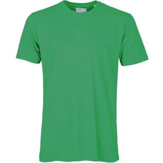 Camiseta Colorful Standard Classic Organic kelly green