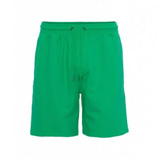Pantalón corto Colorful Standard Classic Organic kelly green