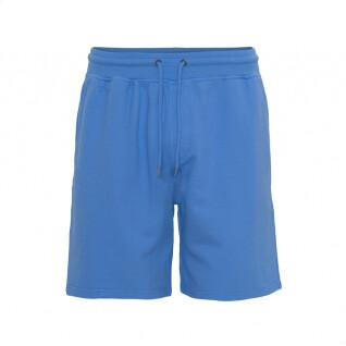 Pantalón corto Colorful Standard Classic Organic pacific blue