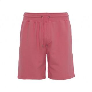Pantalón corto Colorful Standard Classic Organic raspberry pink