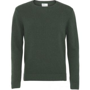 Jersey de lana con cuello redondo Colorful Standard Classic Merino emerald green