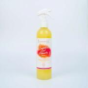 Spray hidratante para mujeres Les Secrets de Loly Cocktail Curl Remedy