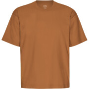 Camiseta oversize Colorful Standard Organic Ginger Brown