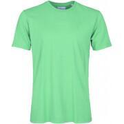 Camiseta Colorful Standard Classic Organic spring green