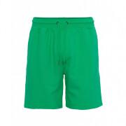 Pantalón corto Colorful Standard Classic Organic kelly green
