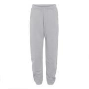Pantalón de jogging Colorful Standard gris claro