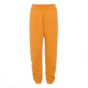Pantalón de jogging Colorful Standard naranja