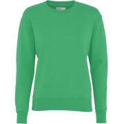 Jersey de cuello redondo para mujer Colorful Standard Classic Organic kelly green