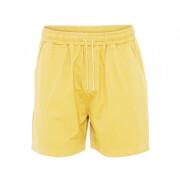 Pantalones cortos de sarga Colorful Standard Organic lemon yellow